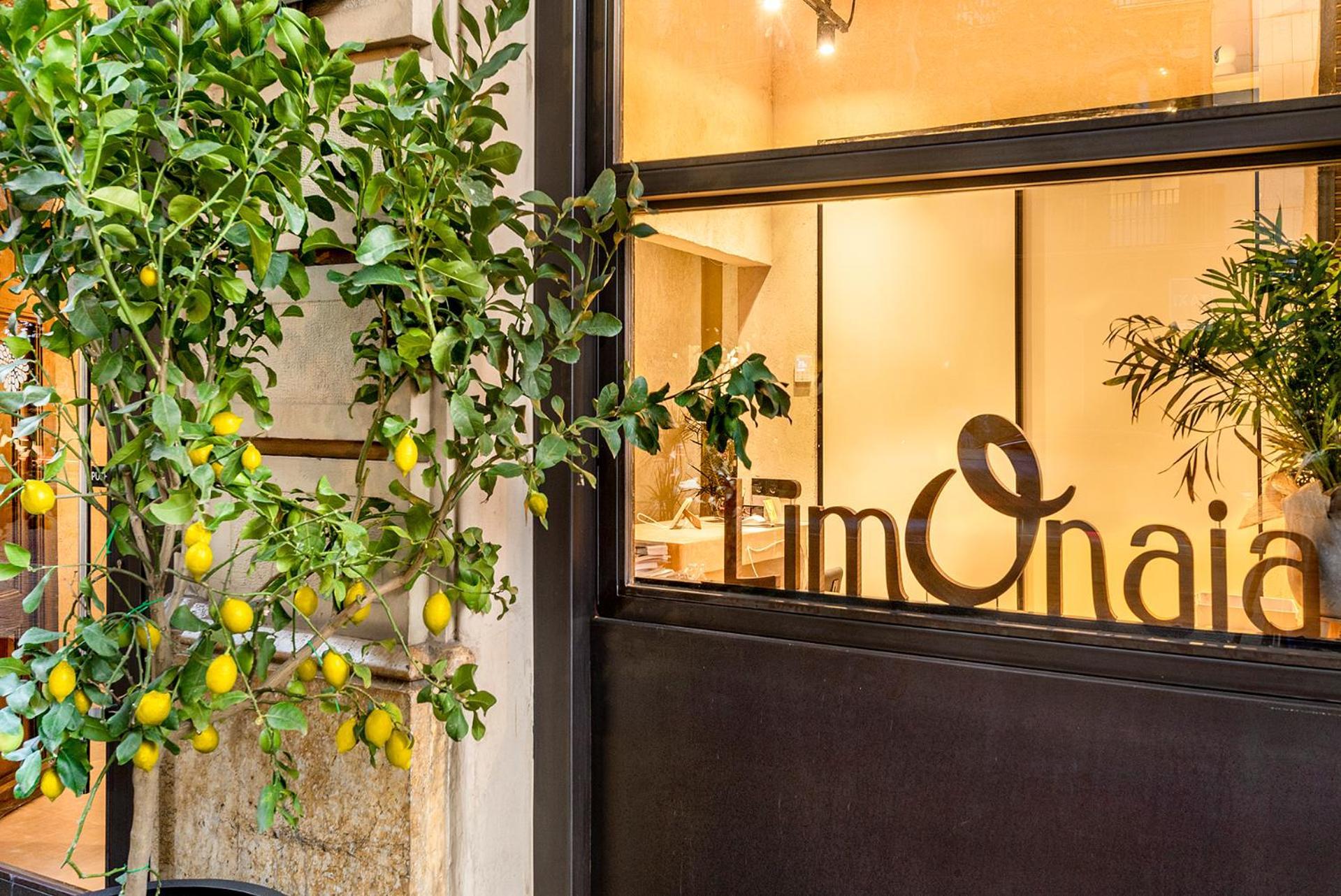 Hotel Limonaia Barcelona Zewnętrze zdjęcie